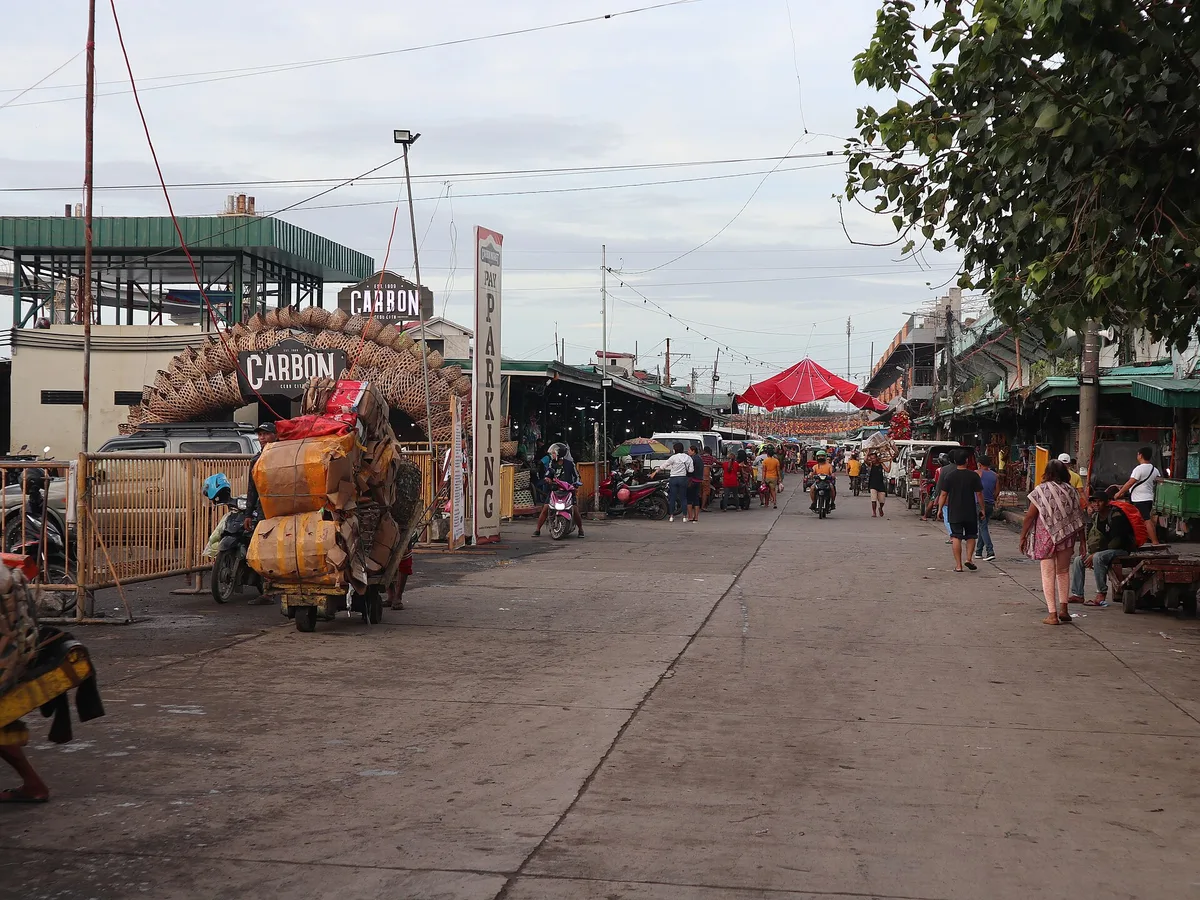 Carbon Market in Cebu, Philippines