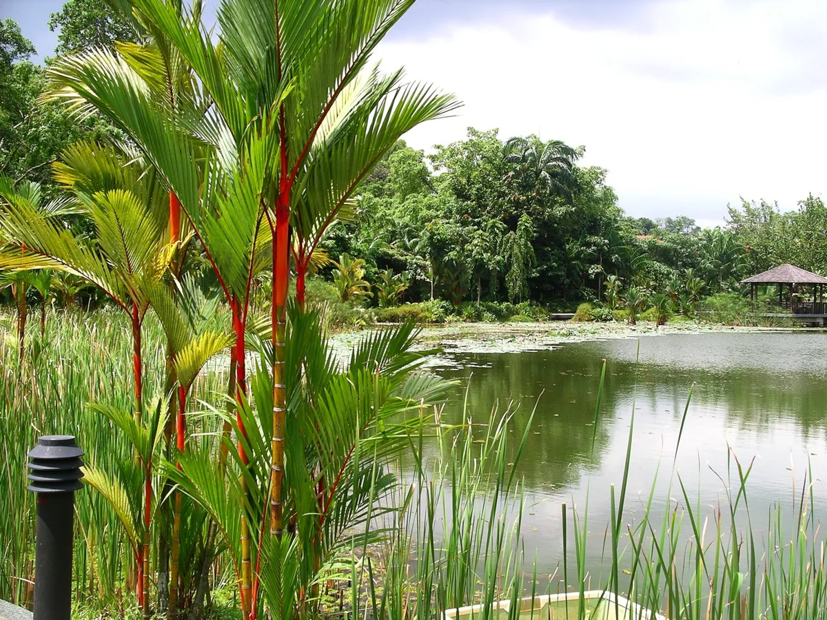 Singapore Botanic Gardens in Dempsey Hill, Singapore