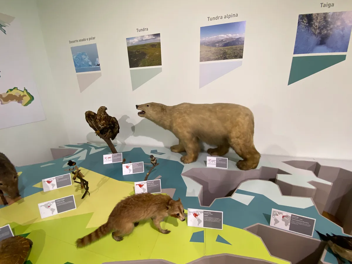 Museo de Historia Natural-USC in Santiago de Compostela, Spain