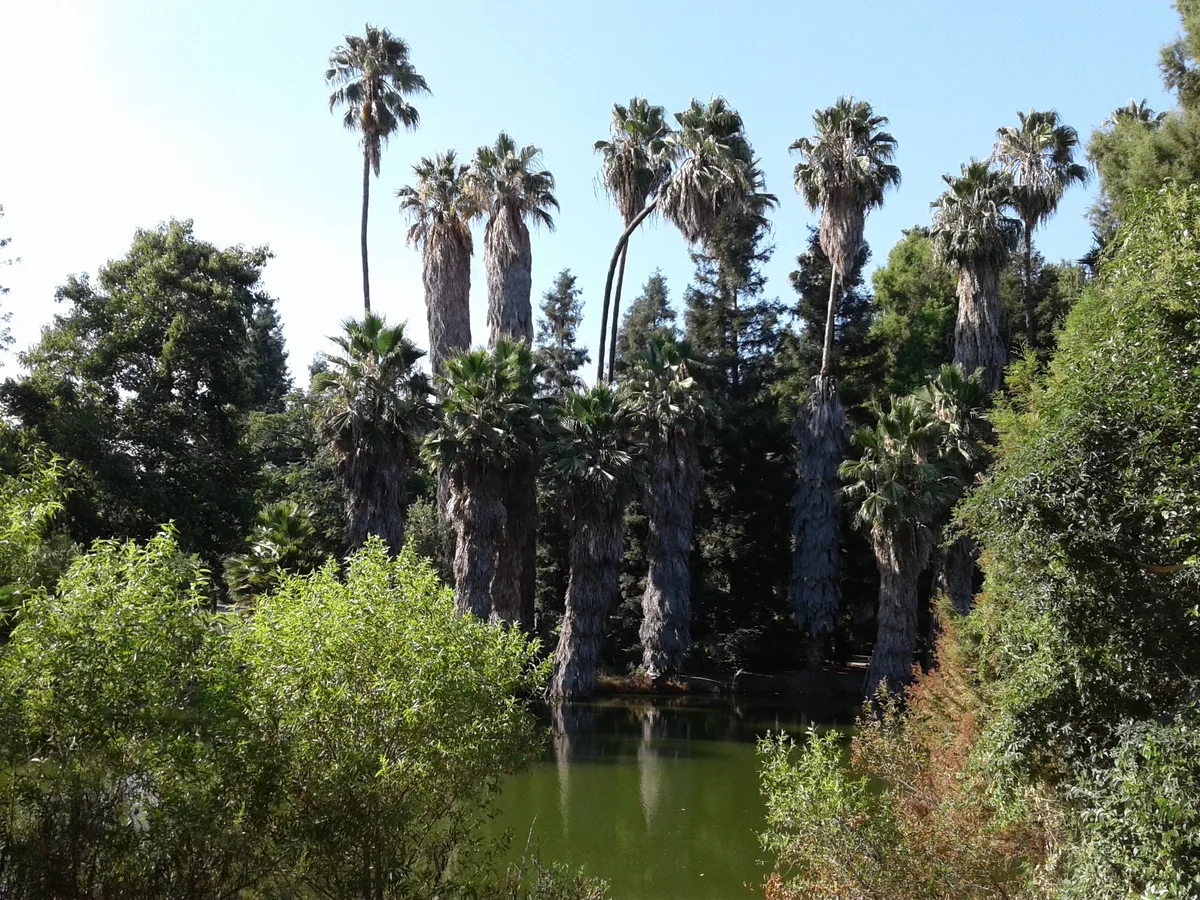 Los Angeles County Arboretum & Botanic Garden in Los Angeles, United States