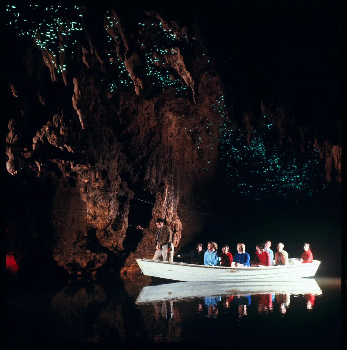 Waitomo Glowworm Caves — Waitomo