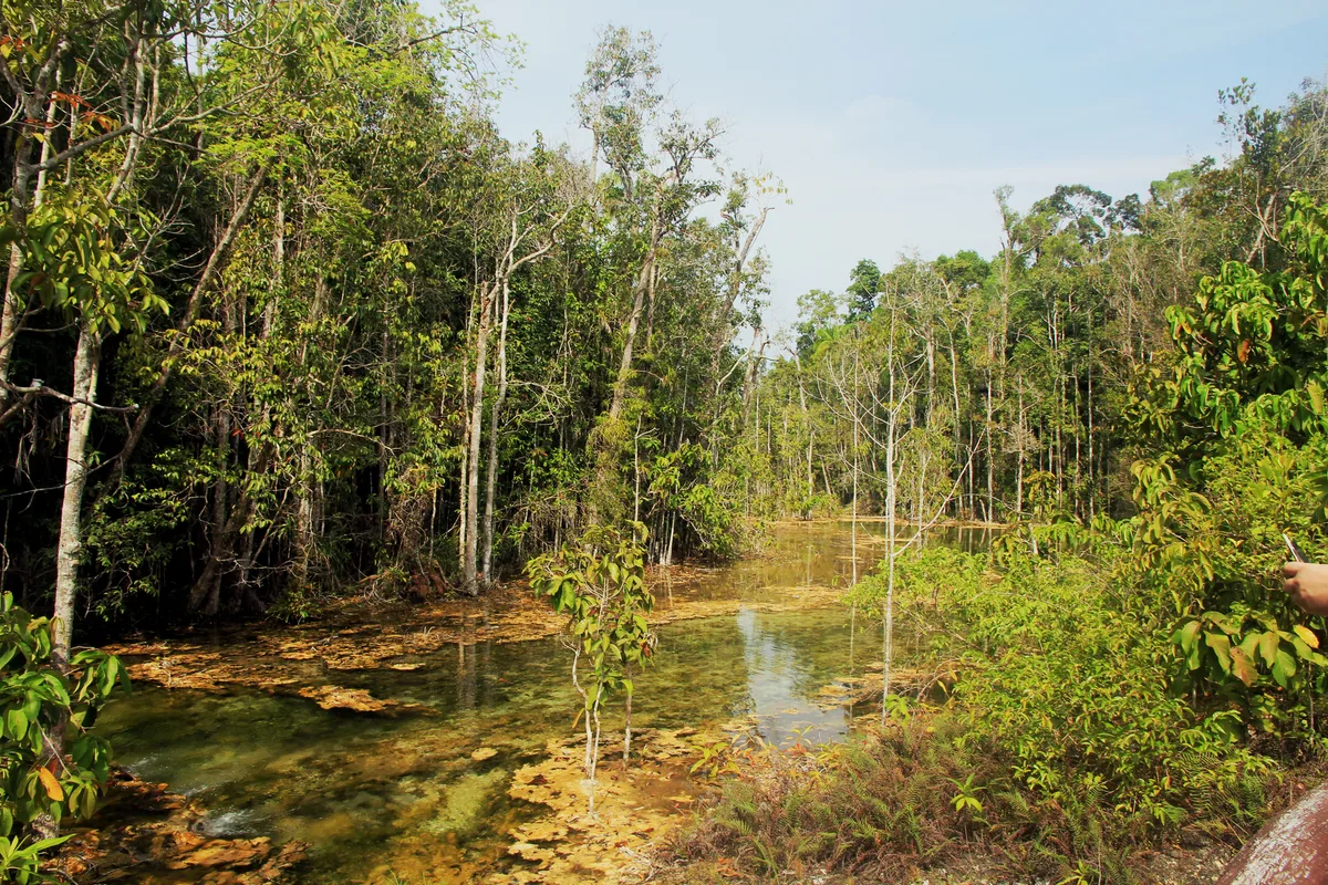 Emerald Pool — Krabi