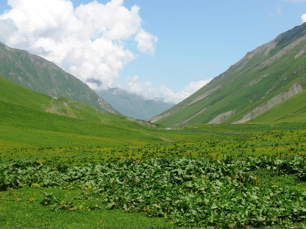 Jvari Pass in Gudauri, Georgia