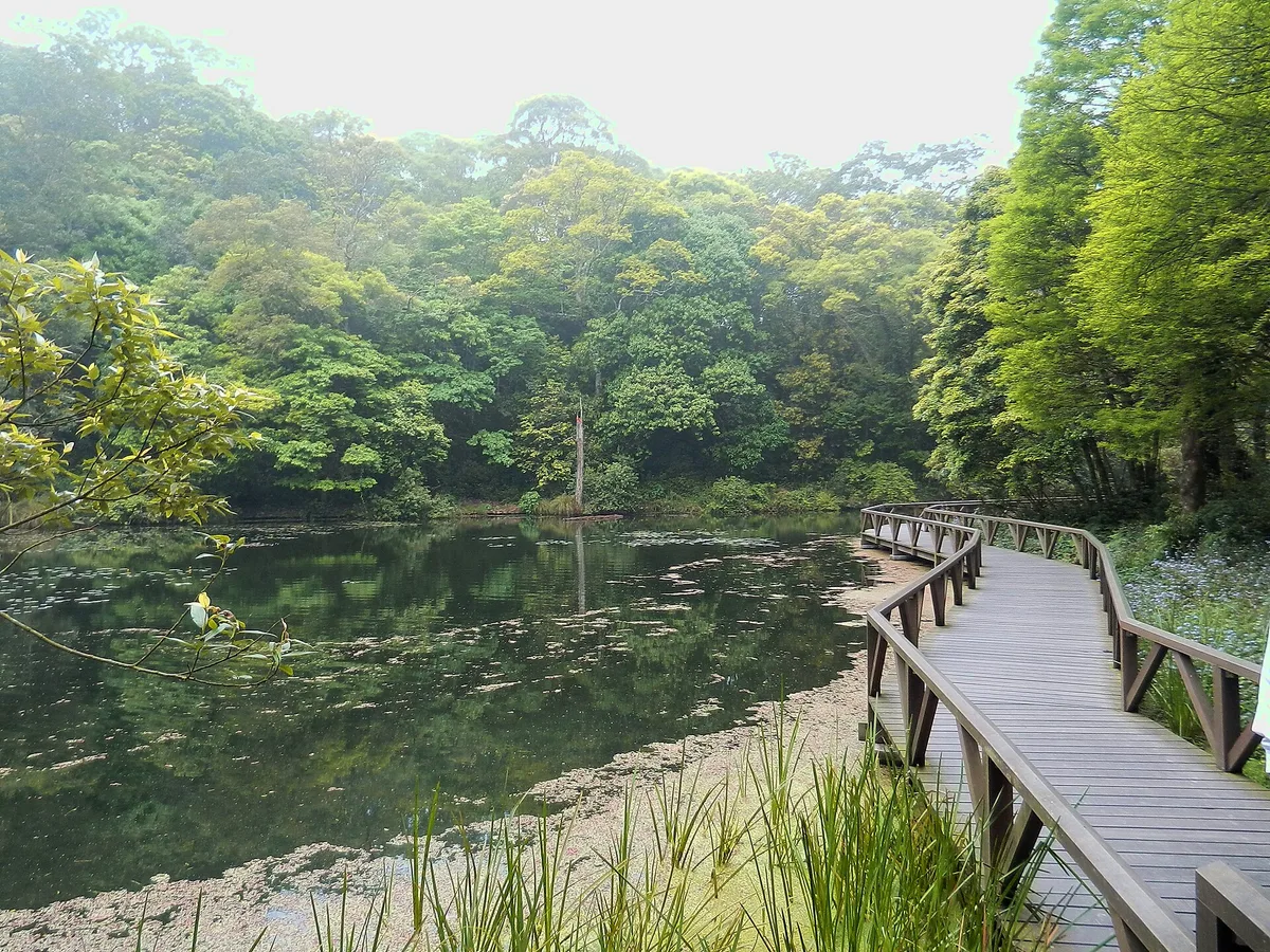 Fushan Botanical Garden in Yilan, Taiwan