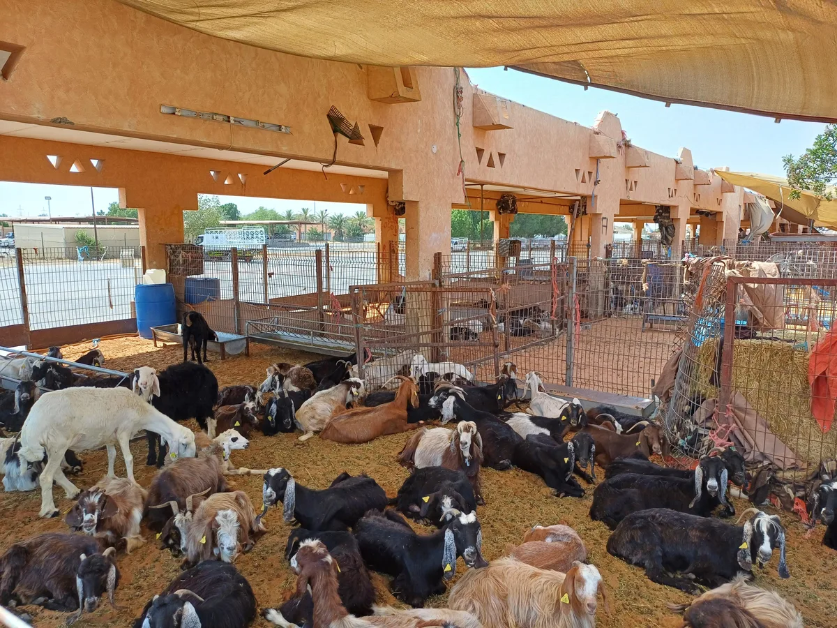 Al Ain Central Market in Al Ain, United Arab Emirates