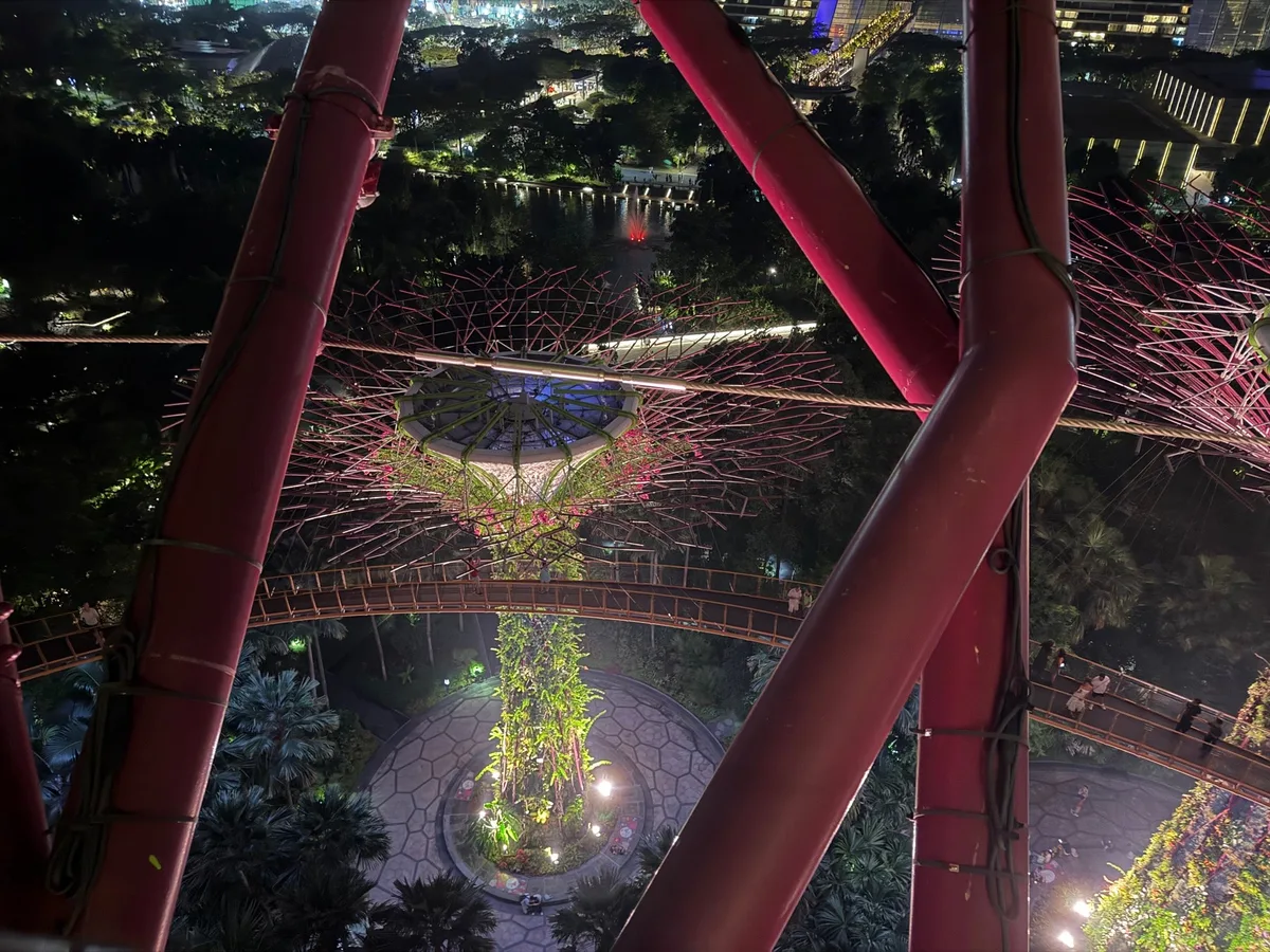 Supertree Grove in Marina Bay, Singapore