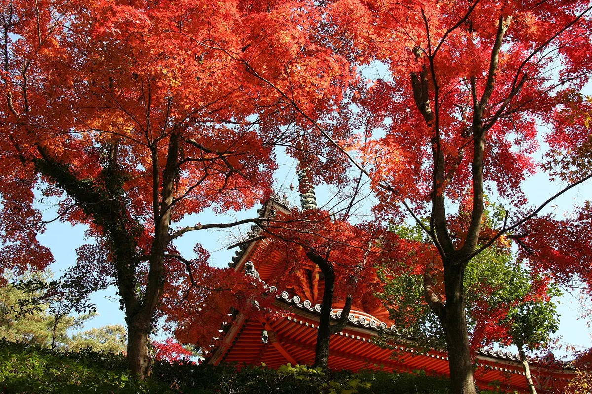 미타키데라 – 히로시마, 일본