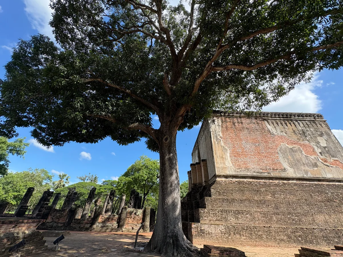 Wat Si Chum in Sukhothai, Thailand