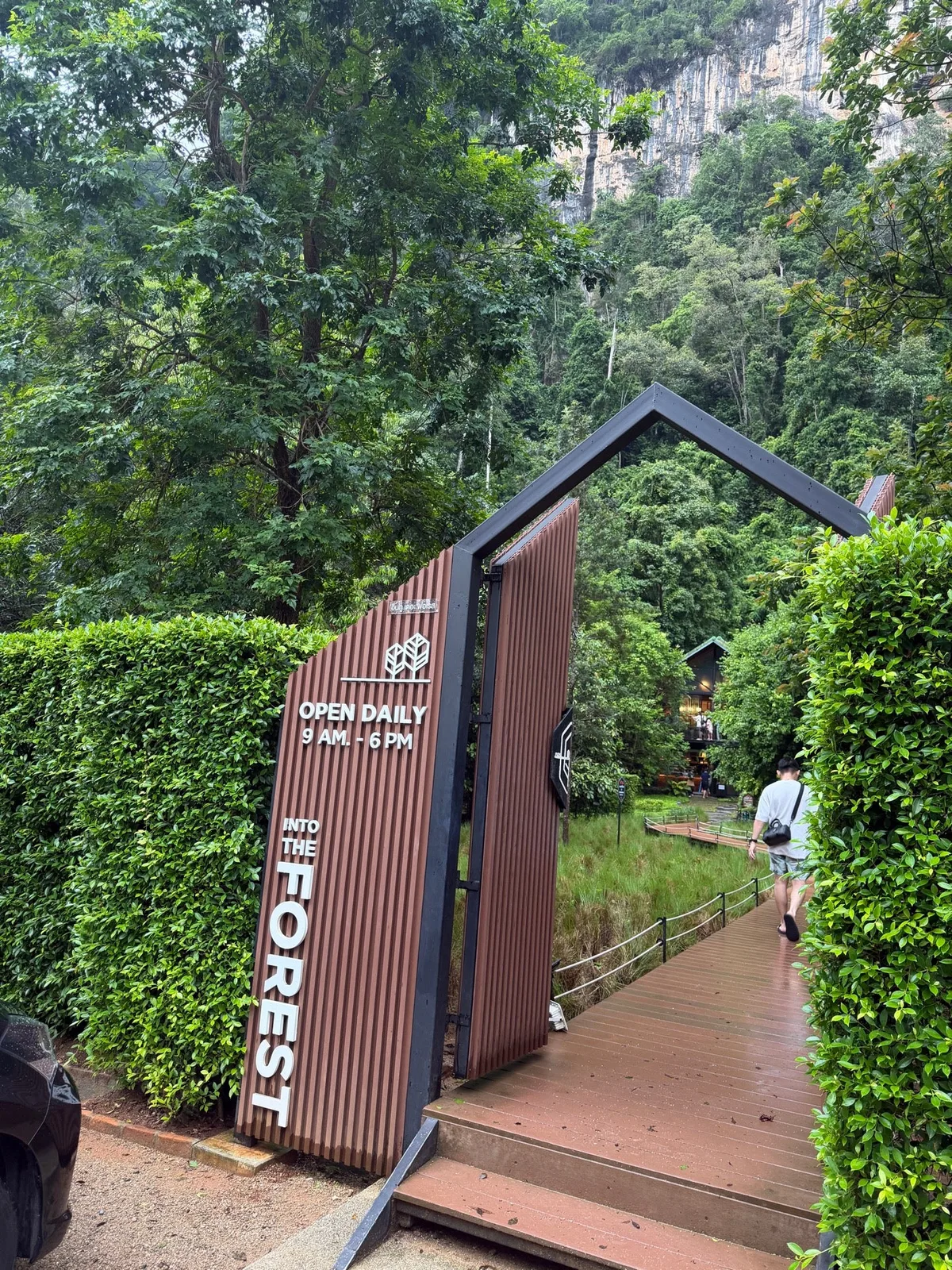 Into the forest in Krabi, Thailand