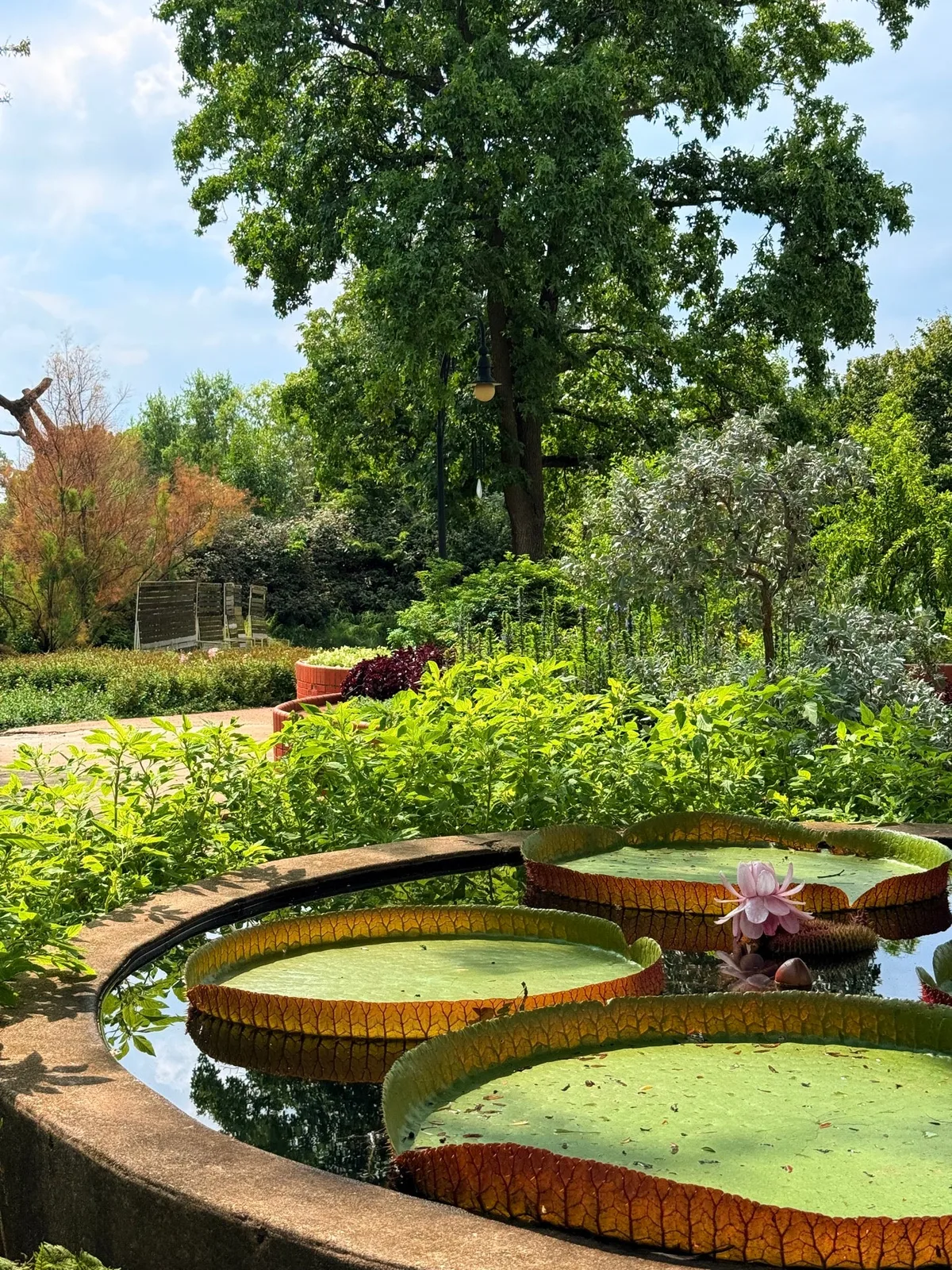 가필드 파크 온실(Garfield Park Conservatory) — 시카고