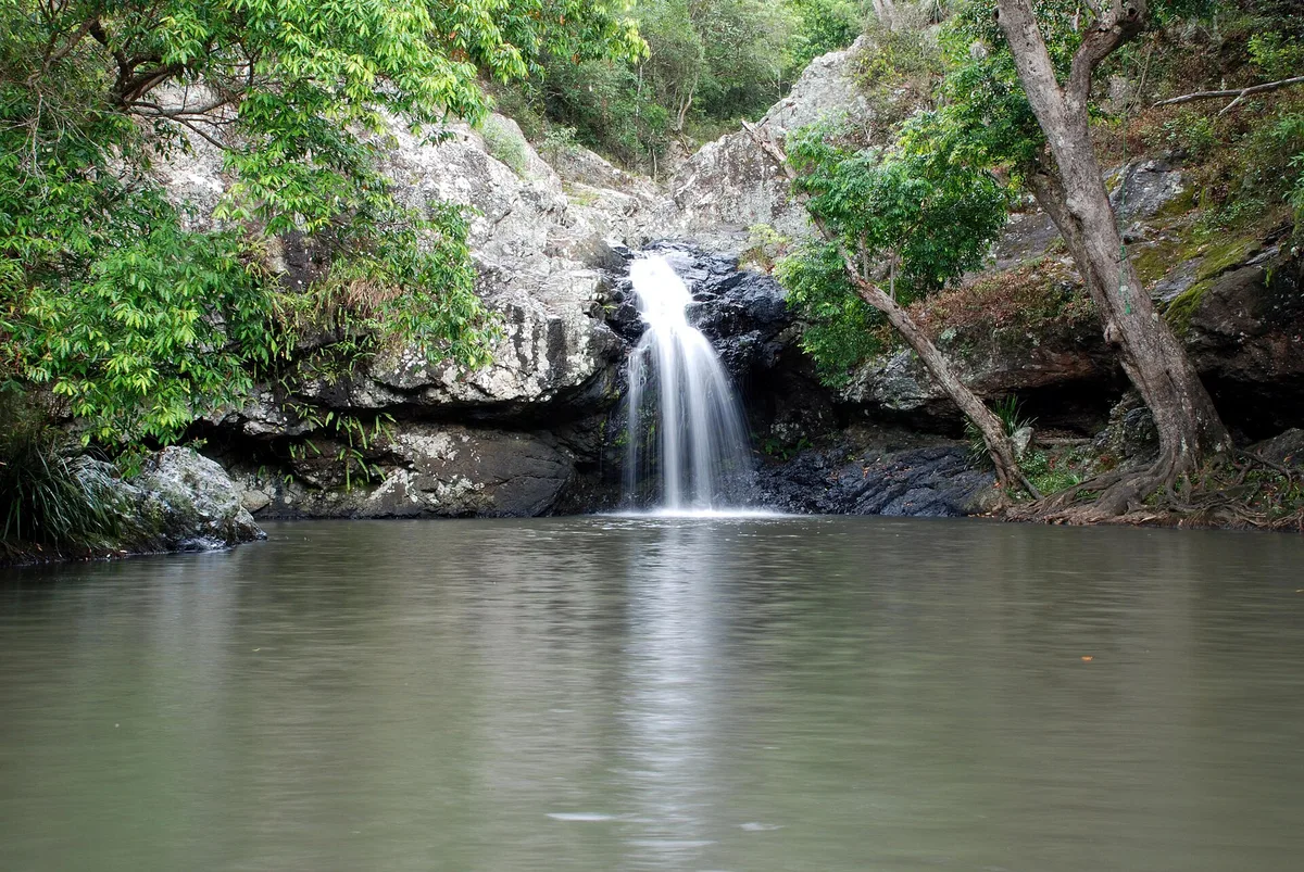 Kondalilla National Park in Sunshine Coast, Australia