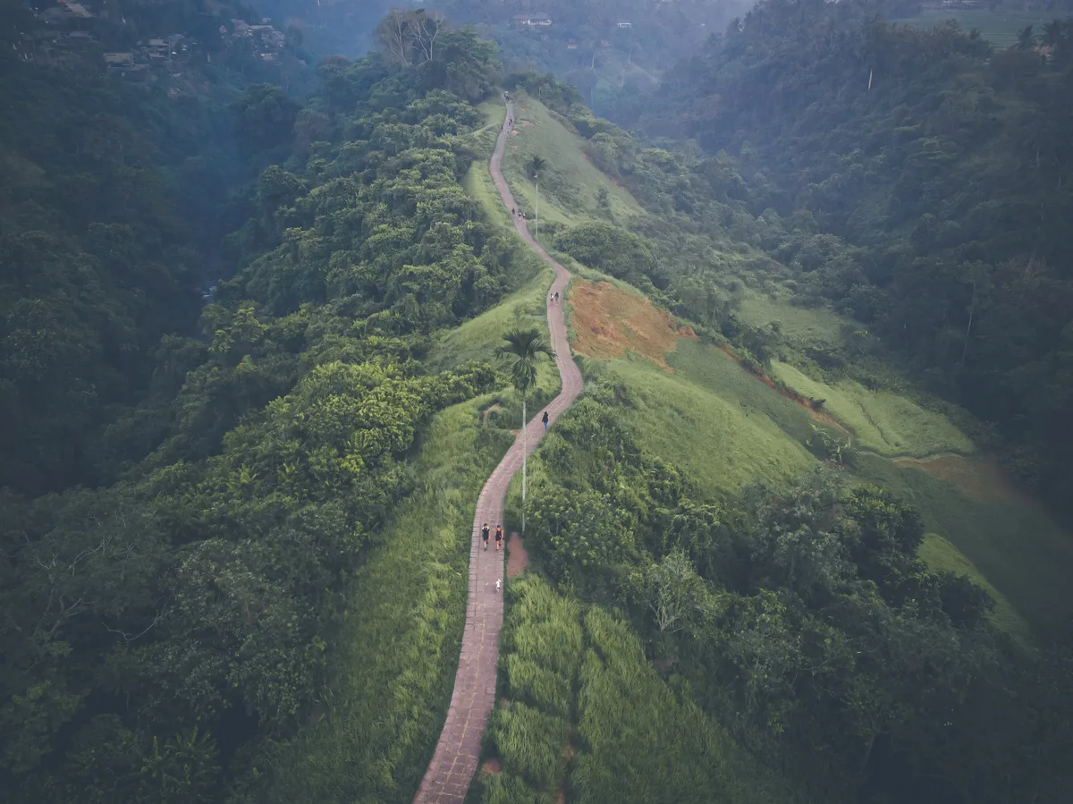 Campuhan Ridge Walk in Ubud, Indonesia