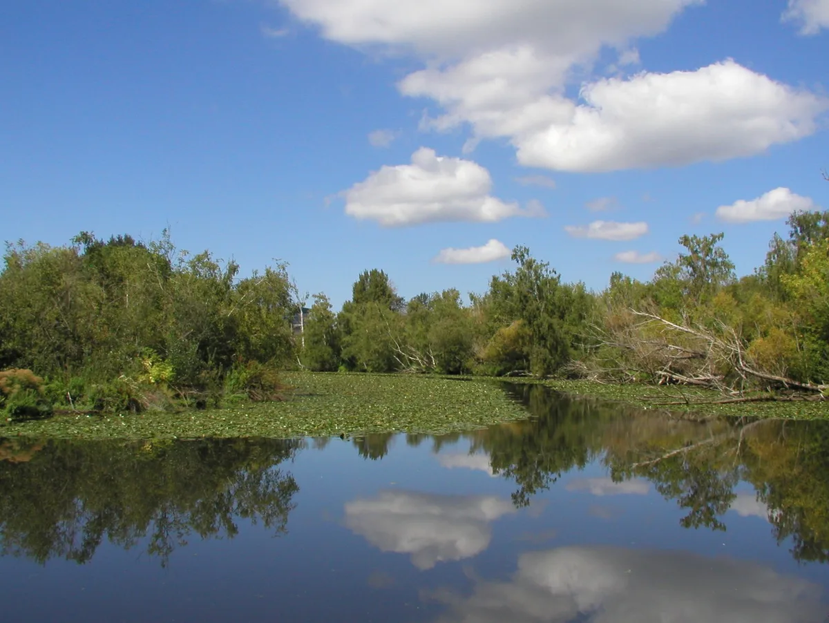 Washington Park Arboretum — Seattle
