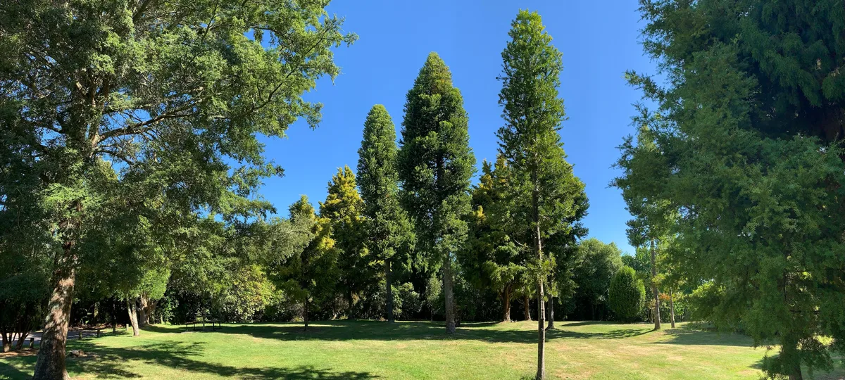 Waipahihi Botanical Reserve in Taupo, New Zealand