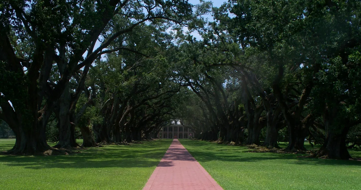 Oak Alley Plantation in New Orleans, United States