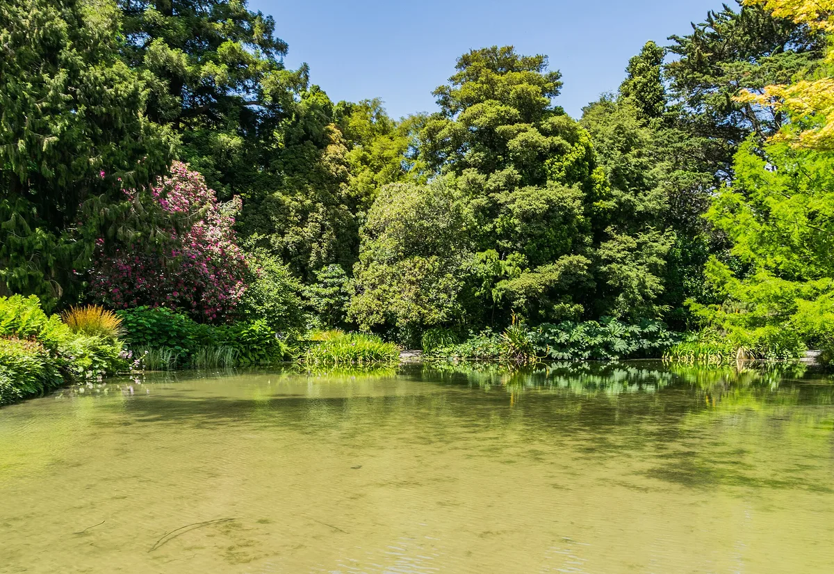 Christchurch Botanic Gardens — Christchurch