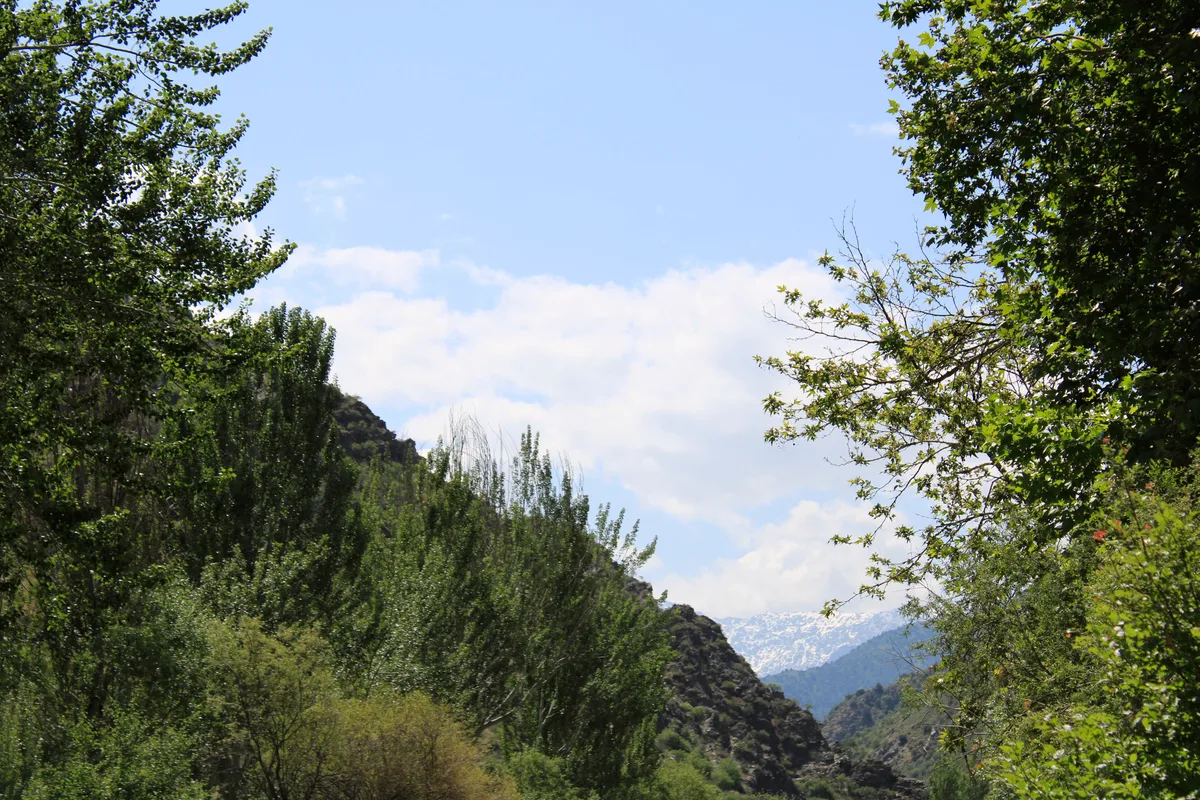 Zaamin National Park in Shakhrisabz, Uzbekistan