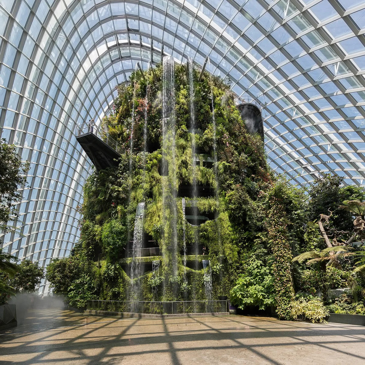 Cloud Forest in Singapore, Singapore