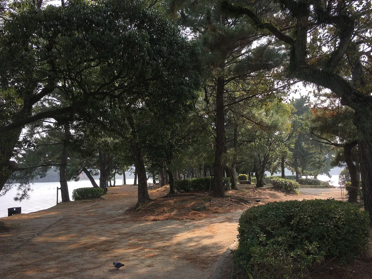Ohori Park in Fukuoka, Japan