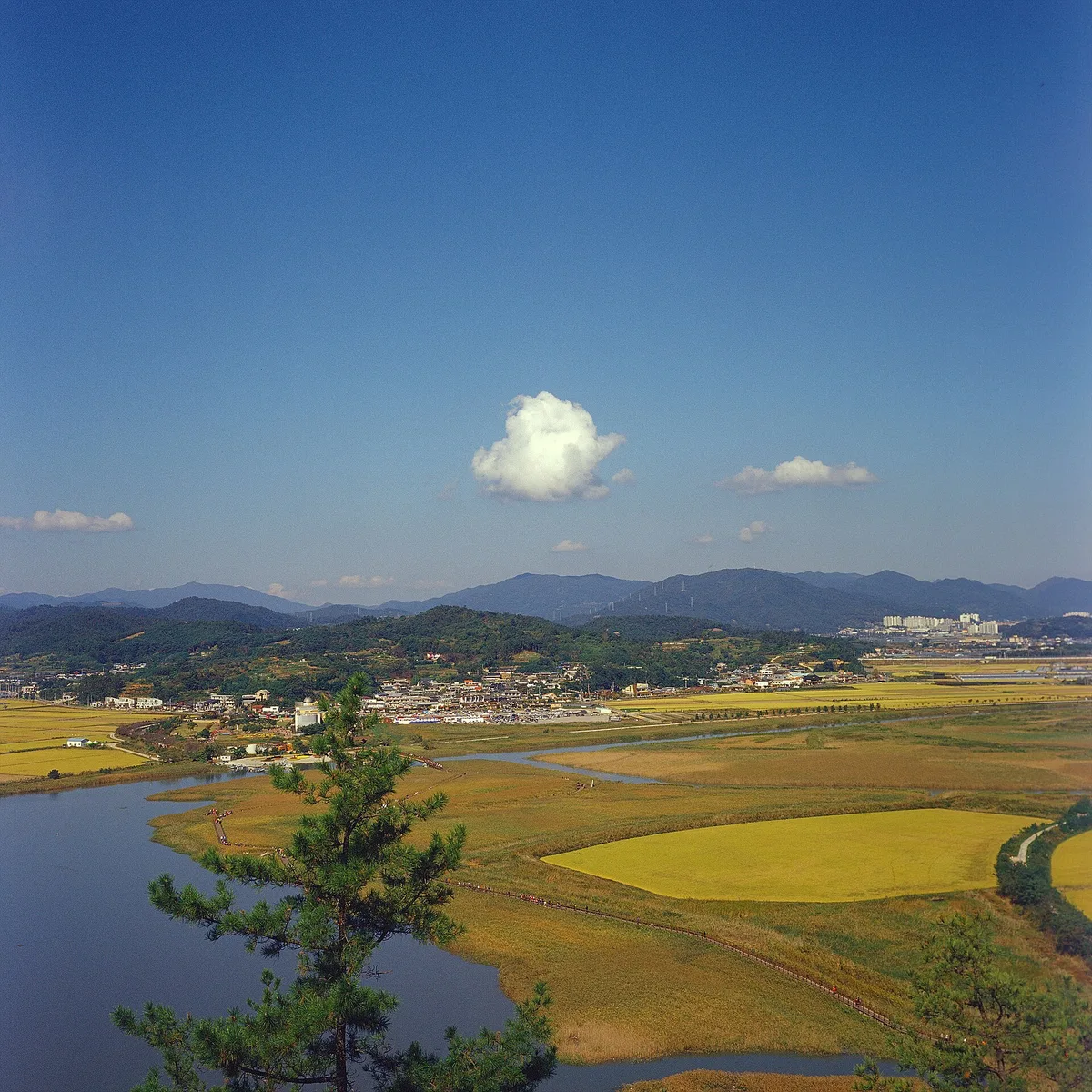 Suncheon Bay in Suncheon, South Korea