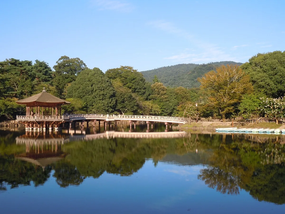Nara Park in Nara, Japan