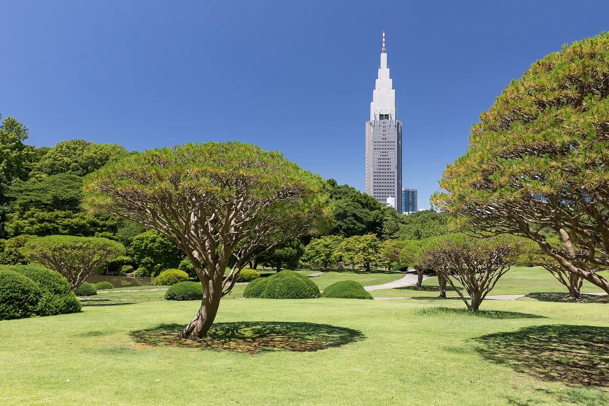 Shinjuku Gyoen National Garden in Tokyo, Japan