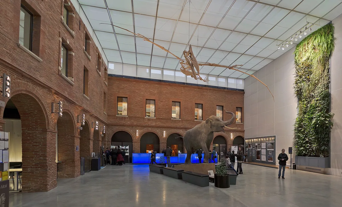 Muséum de Toulouse in Toulouse, France