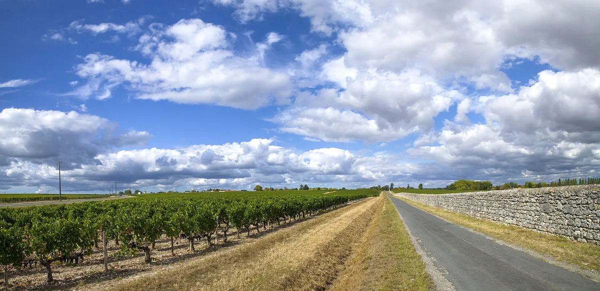 Bordeaux Wine Trails - Wine tours in Bordeaux, France