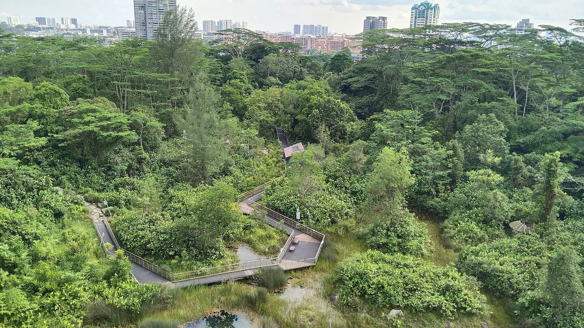 Rifle Range Nature Park in Bukit Timah, Singapore