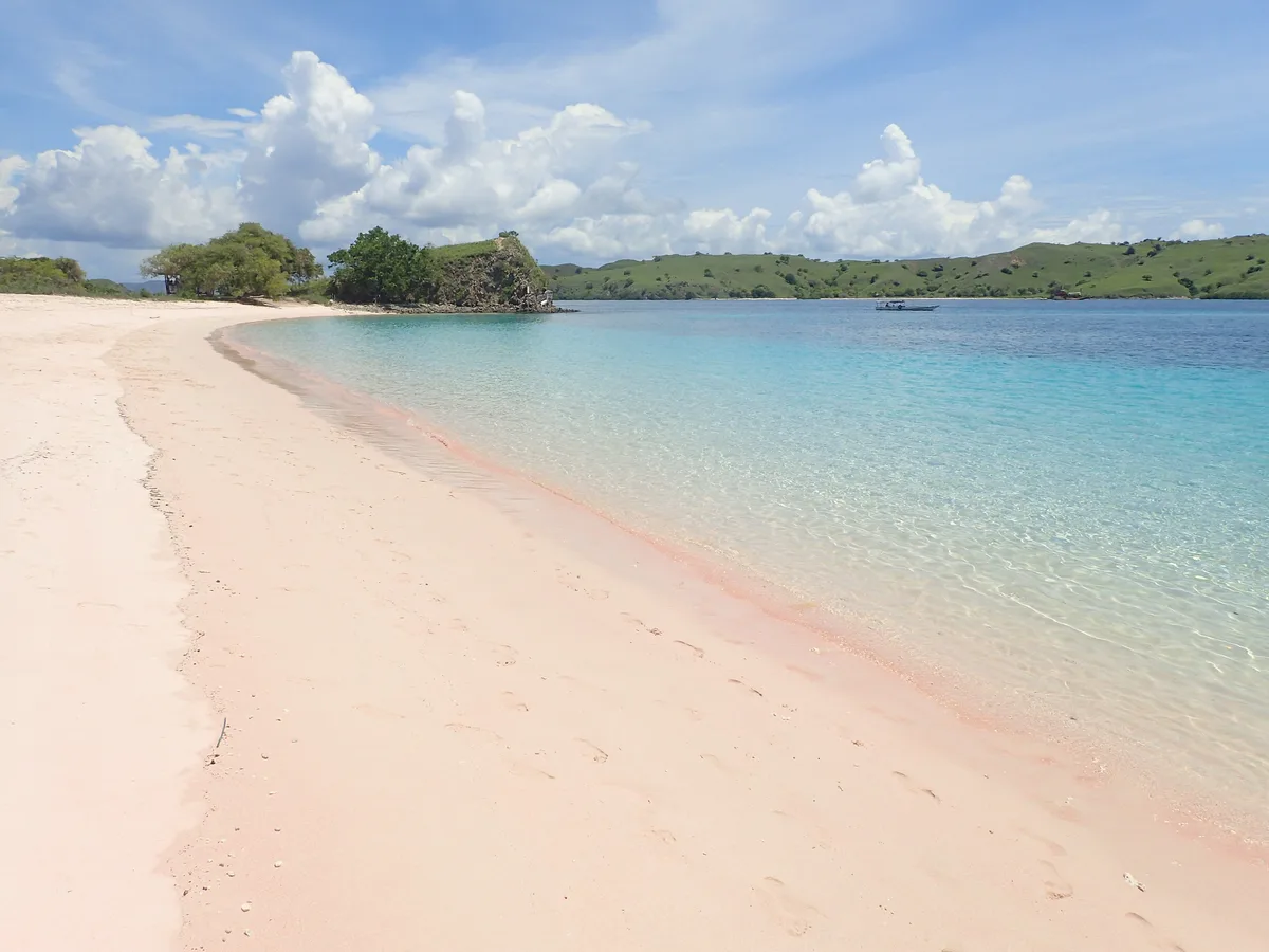 Pink Beach in Komodo, Indonesia