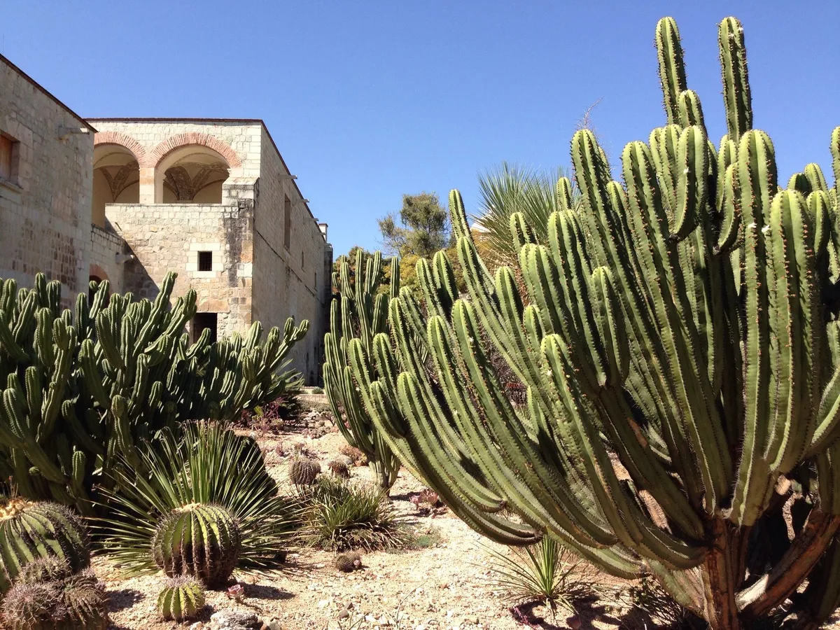 Jardín Etnobotánico de Oaxaca in Oaxaca, Mexico