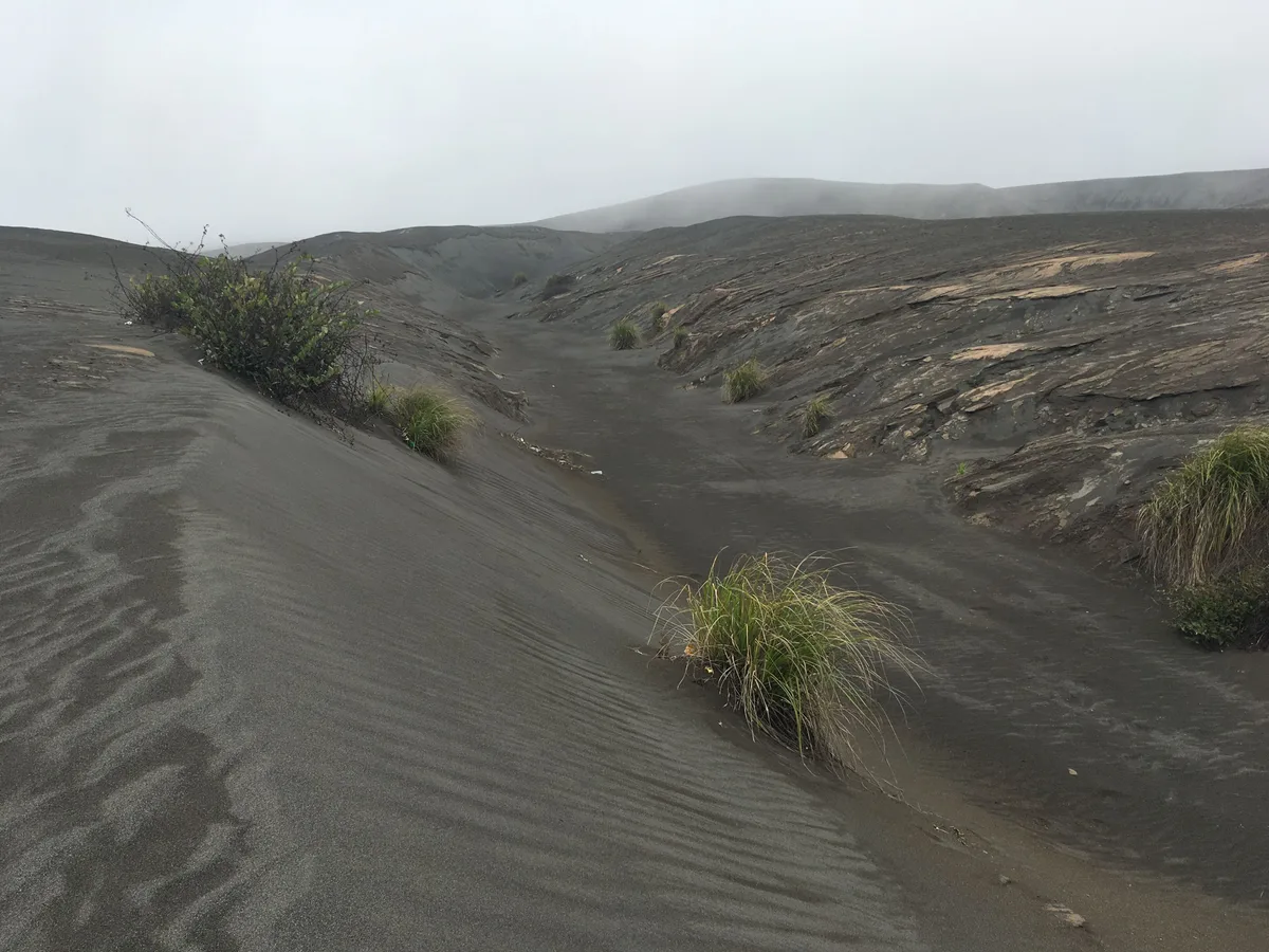 Sea of Sand Bromo in Mount Bromo, Indonesia