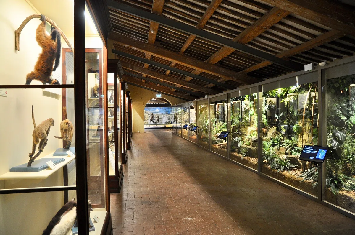 Natural History Museum of the University of Pisa in Pisa, Italy
