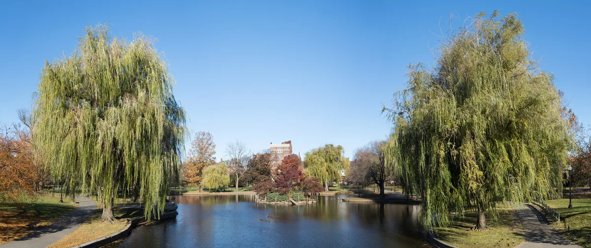 Public Garden in Boston, United States