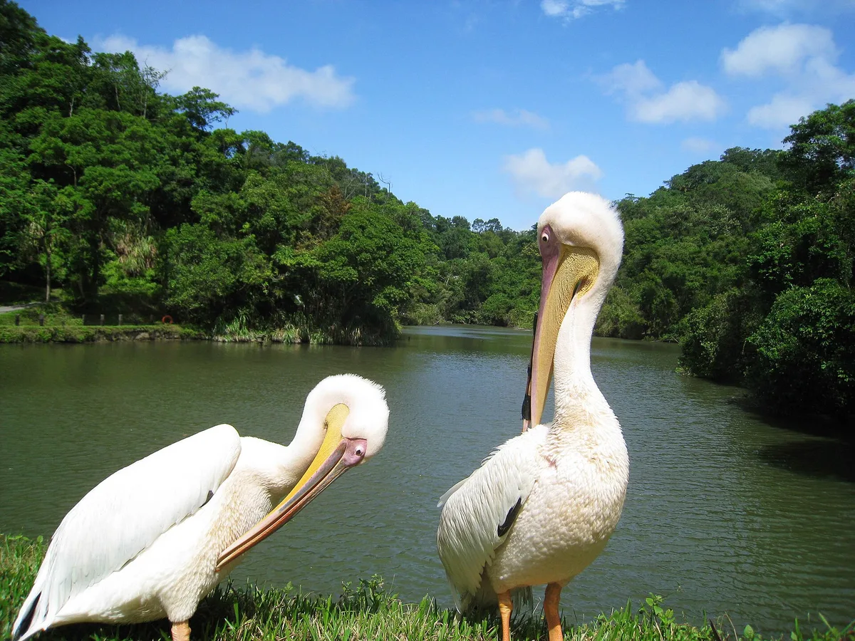 Green World Ecological Farm in Hsinchu, Taiwan
