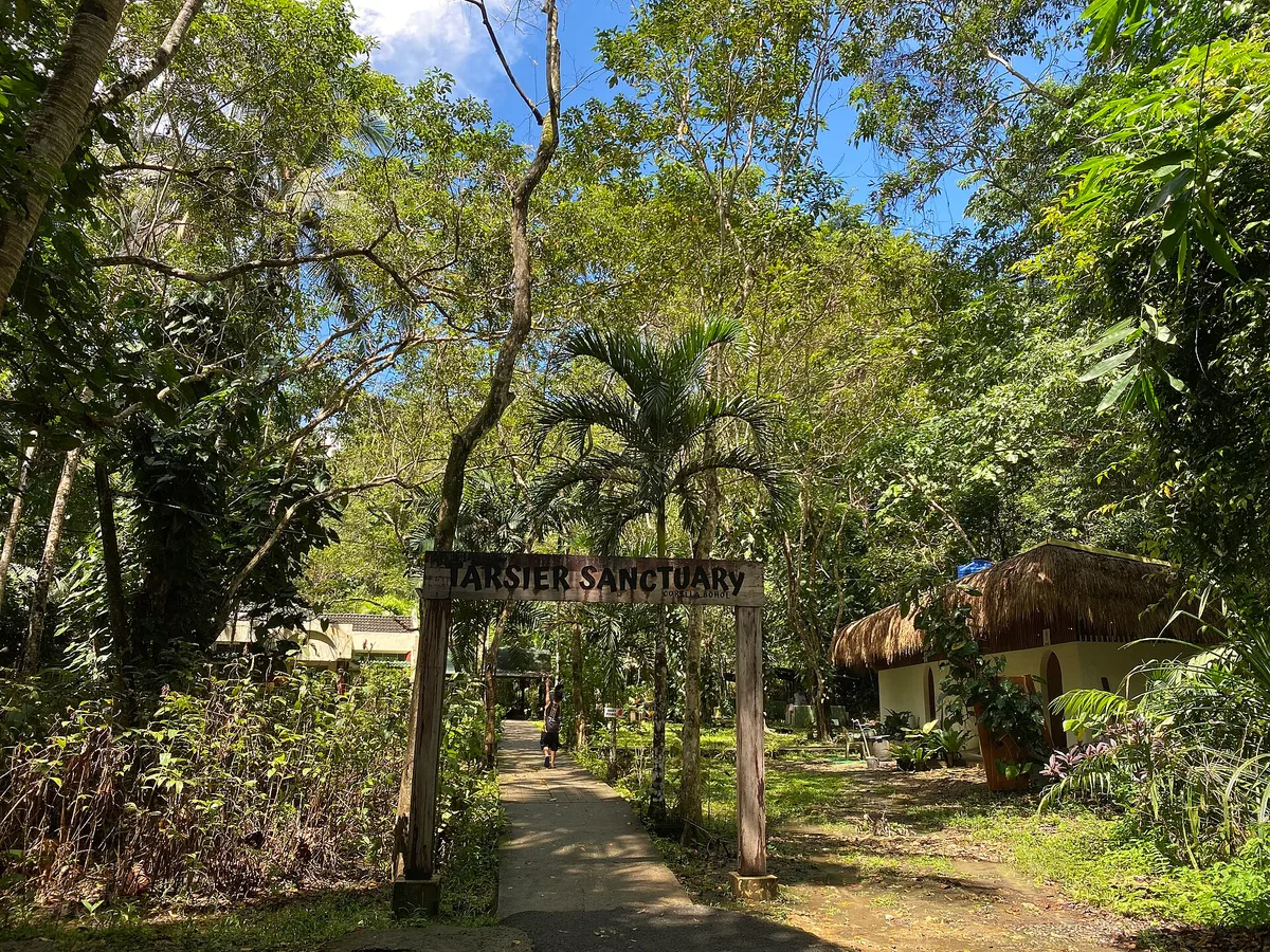 Philippine Tarsier Sanctuary in Bohol, Philippines
