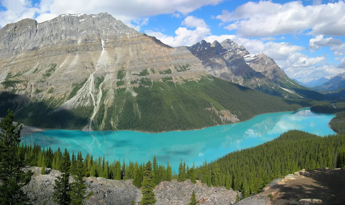 Peyto Lake Viewpoint in Lake Louise, Canada