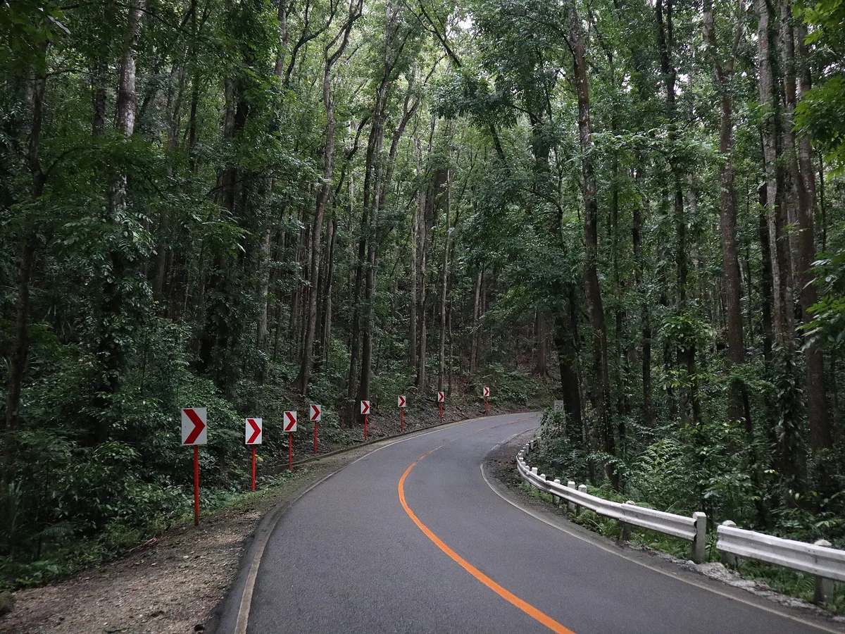 Bilar Man-Made Forest in Bohol, Philippines
