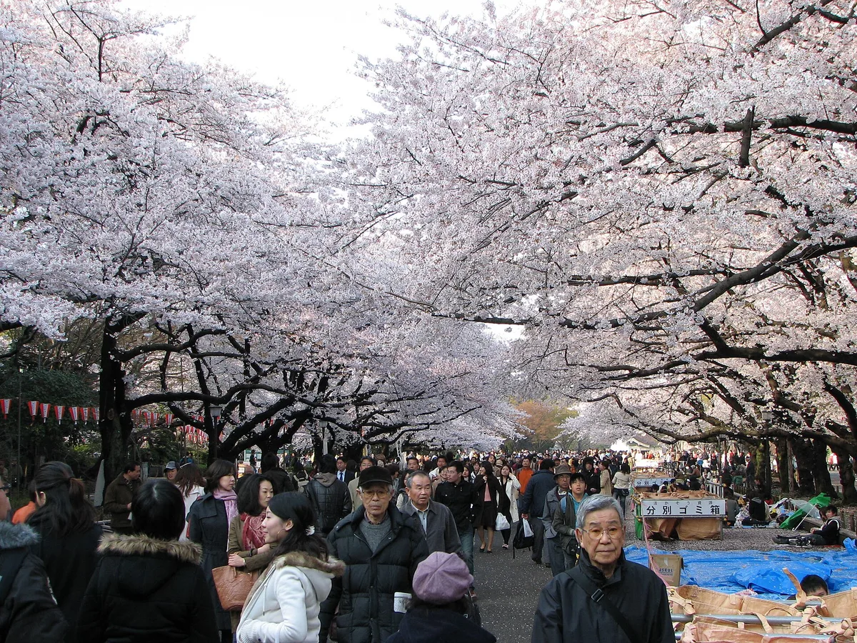Ueno Park in Tokyo, Japan