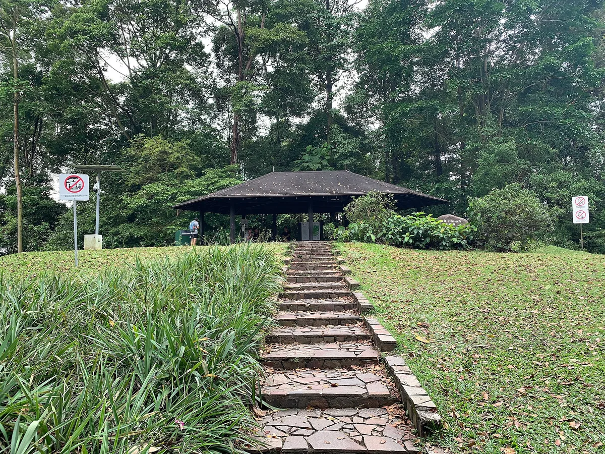 Bukit Timah Nature Reserve in Bukit Timah, Singapore