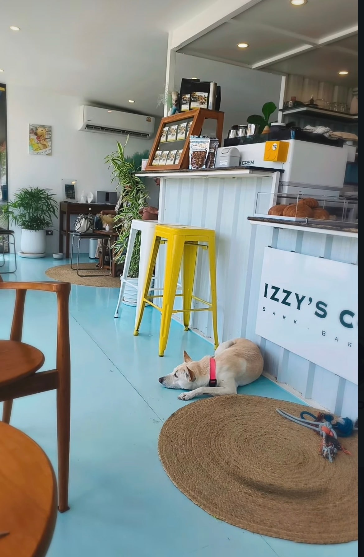 Izzy’s Specialty Coffee in Koh Samui, Thailand
