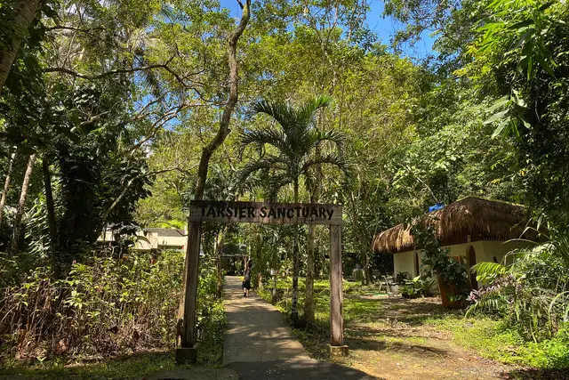 Philippine Tarsier Sanctuary — Bohol