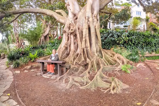 Wendy Whiteley's Secret Garden: Sydney Travel Guide (4.8★) — Sydney