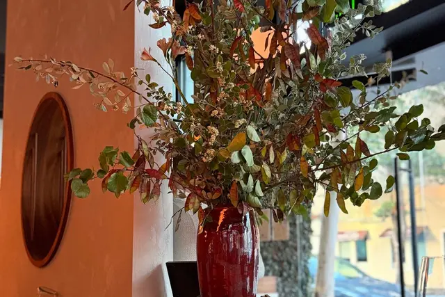 The Happy Crane: San Francisco Travel Guide — San Francisco
