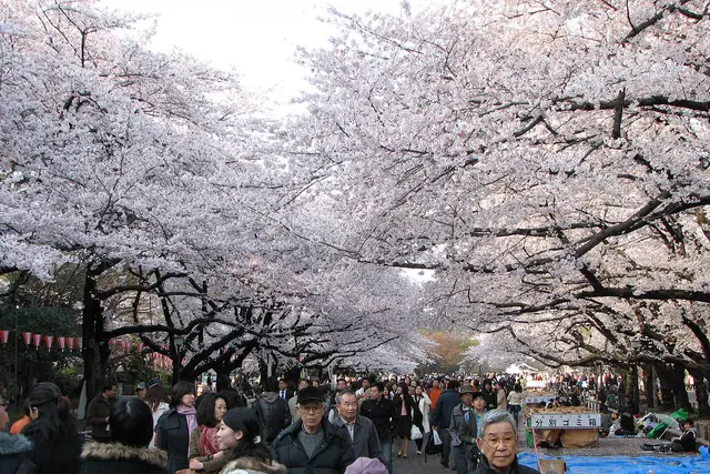 Ueno Park: Tokyo Travel Guide (4.4★) — Tokyo
