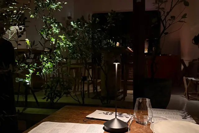 AVLI in Bali — Bali