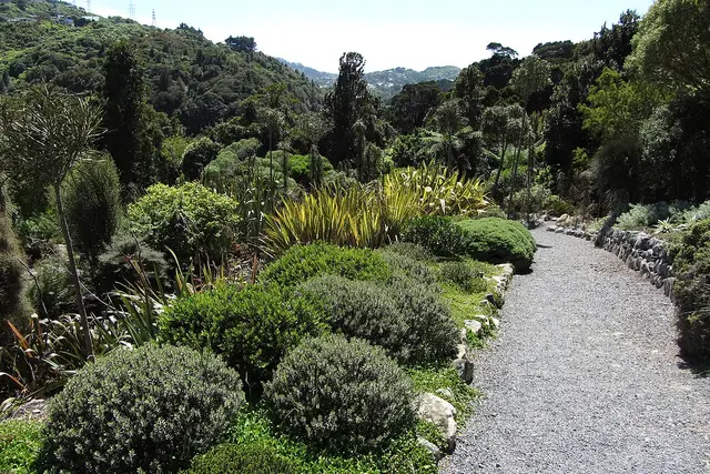 Otari-Wilton's Bush: Wellington Travel Guide (4.8★) — Wellington