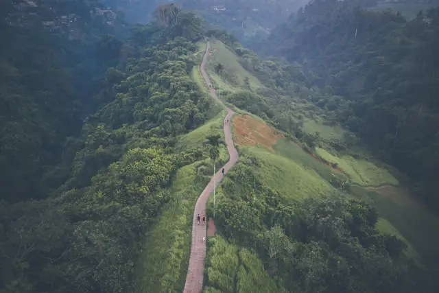 Campuhan Ridge Walk: Ubud Travel Guide (4.3★) — Ubud