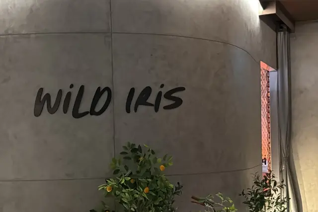 Iris & Wild Iris: Bangkok Travel Guide — Bangkok