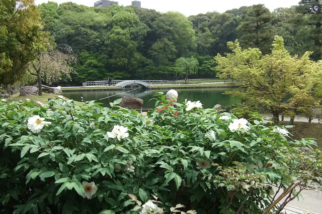 Tokugawaen Garden: Nagoya Travel Guide (4.3★) — Nagoya